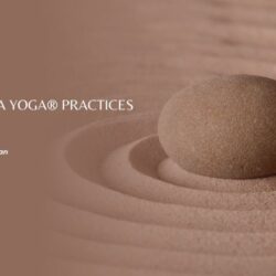 A Day of Siddha Yoga® Practices