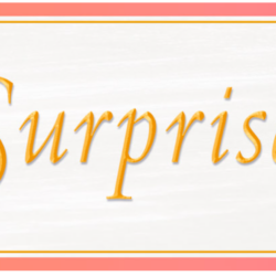 Siddha Yoga ® Satsang: Reflection about Sweet Surprise ® 2026
