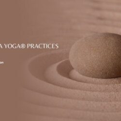 A Day of Siddha Yoga&reg; Practices
